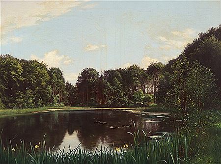 A summer day by a still forest lake.
