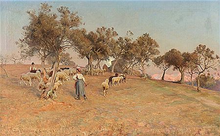 The herd is driven home across the field with olive trees