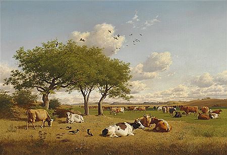 Danish summer landscape with numerous cows in the field.