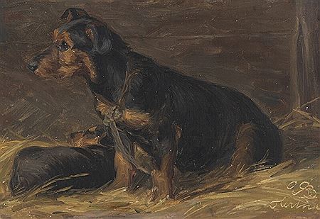 “Hertha”. A dog portrait