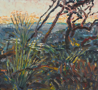 Winter Evening in Kuringai