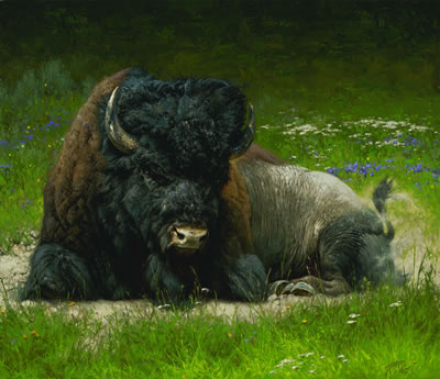 Sample artwork by Greg Beecham (Born 1954), known for wildlife painting, illustration - View similar artists and auction records