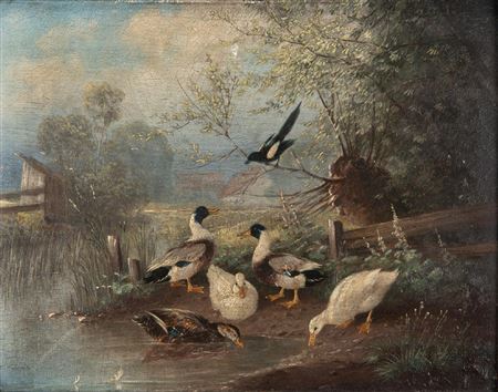 Ducks gathered at edge of pond near farmstead.