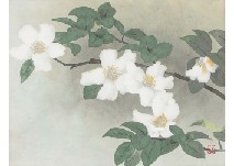 Camellia by Nobuhide Makino - Auction record, sale price, and art valuation. Compare with similar artists and explore comparable artworks.