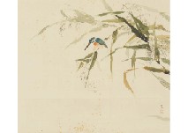 Kingfisher
