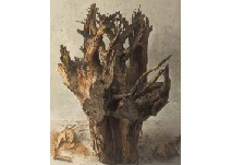 Root phenomena II by Hidekazu Takamatsu - Auction record, sale price, and art valuation. Compare with similar artists and explore comparable artworks.