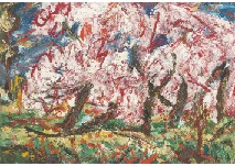 Landscape (Cherry Blossoms)