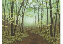 Forest path