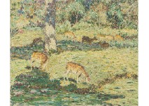 Nara Park
