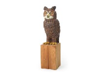 Bird 2009-01B (Owl)