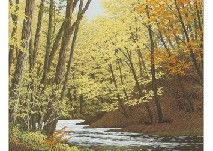 Autumn River
