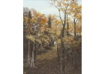 Path