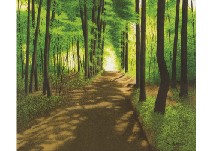 Sunlight filtering through trees by Mitsuo Shioda - Auction record, sale price, and art valuation. Compare with similar artists and explore comparable artworks.