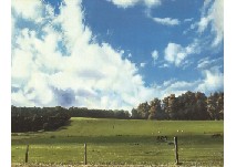Shadow of the big cloud by Toshihiko Kinoshita - Auction record, sale price, and art valuation. Compare with similar artists and explore comparable artworks.