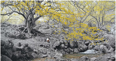The Brilliant Moment by Yeong Geol Choi - Auction record, sale price, and art valuation. Compare with similar artists and explore comparable artworks.