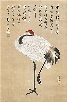 Sleeping Crane