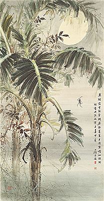 Plantain and Spider under Moonlight