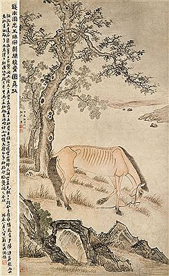 Emaciated Horse