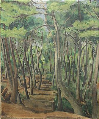 Paysage en sous-bois