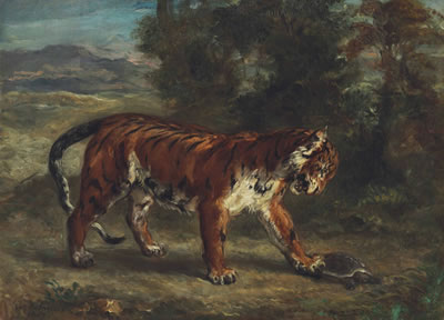 Tigre jouant avec une tortue