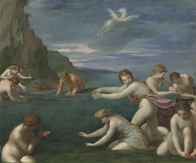 The Discovery of Coral