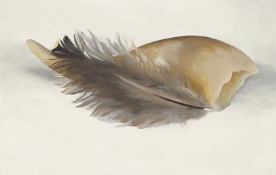 Horn and Feather
