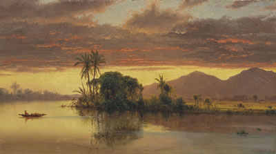 Tropical Landscape