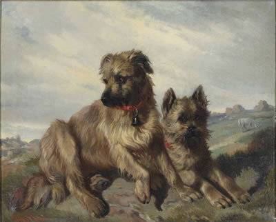Two cairn terriers in a landscape