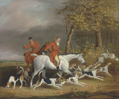 Lord Derby's foxhounds