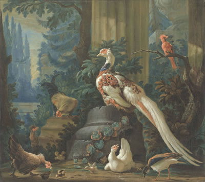 A silver pheasant and other exotic birds amongst classical ruins