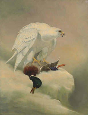 Gyrfalcon and mallard by Joseph Wolf - Auction record, sale price, and art valuation. Compare with similar artists and explore comparable artworks.