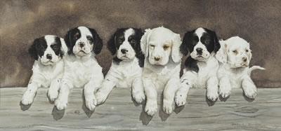 Six of a Kind