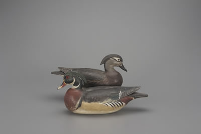 Wood Duck Pair by Davison Hawthorne - Auction record, sale price, and art valuation. Compare with similar artists and explore comparable artworks.