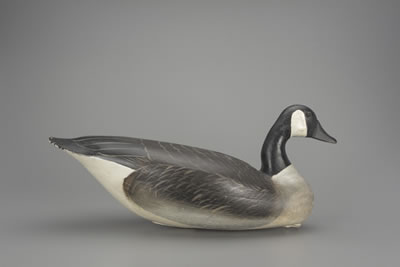 Early Canada Goose