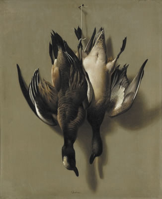 Wigeon Pair