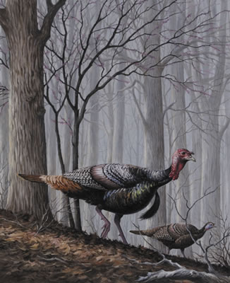 Turkeys, 1989