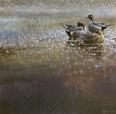 Three Pintails