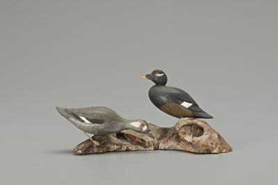 Miniature White-Winged Scoter Pair