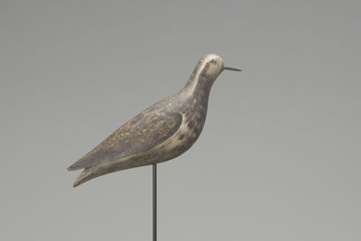 Running Golden Plover