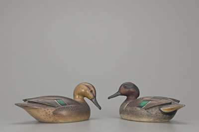 Green-Winged Teal Pair