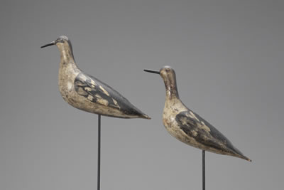 Two Early Yellowlegs