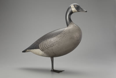 Standing Canada Goose
