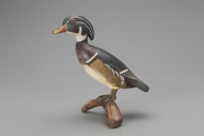 Three-Quarter-Size Wood Duck