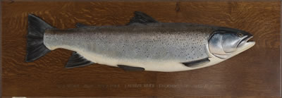 Sea Trout Model by Stephen R Smith - Auction record, sale price, and art valuation. Compare with similar artists and explore comparable artworks.