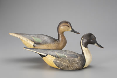 Pinch-Breast Pintail Pair