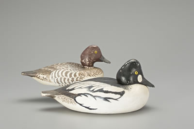 Goldeneye Pair