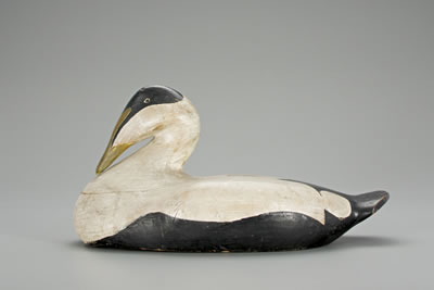The Gilley-Wilson Eider by Augustus Aaron Wilson - Auction record, sale price, and art valuation. Compare with similar artists and explore comparable artworks.
