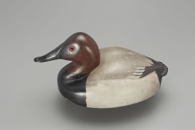 Canvasback Drake by Ferdinand Bach - Auction record, sale price, and art valuation. Compare with similar artists and explore comparable artworks.