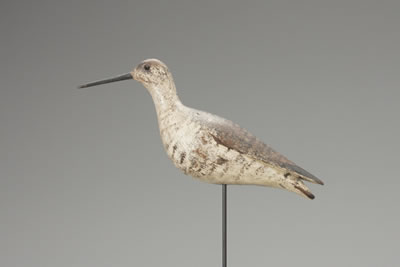 Greater Yellowlegs