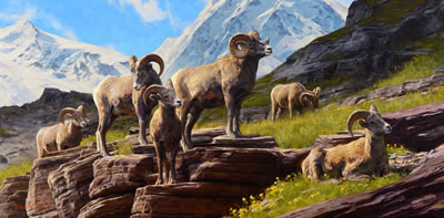 Rocky Mountain Splendor (2018)